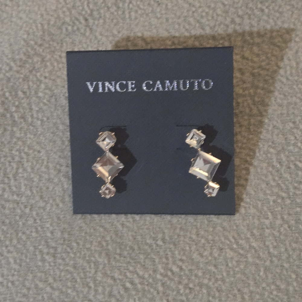 Vince Camuto Shiny Silver Earrings
